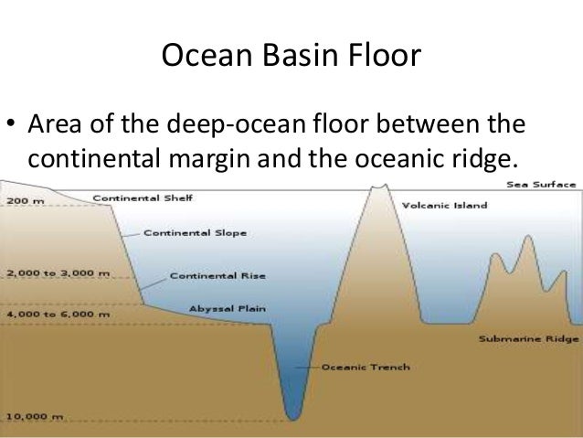 journey to the ocean floor journey to the ocean floor
